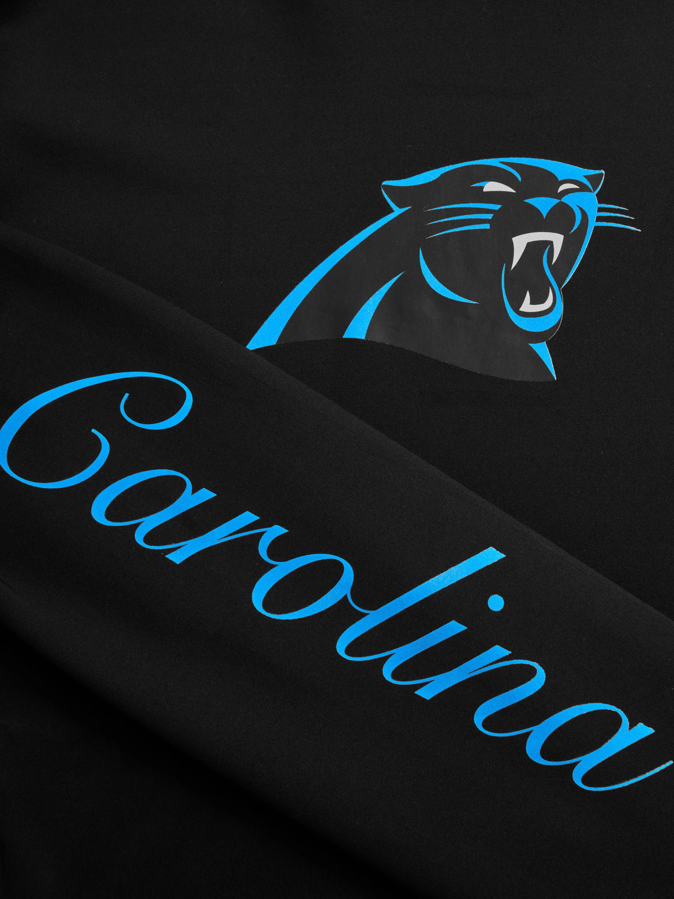 Carolina Panthers Sequoia Hoodie - Image 5