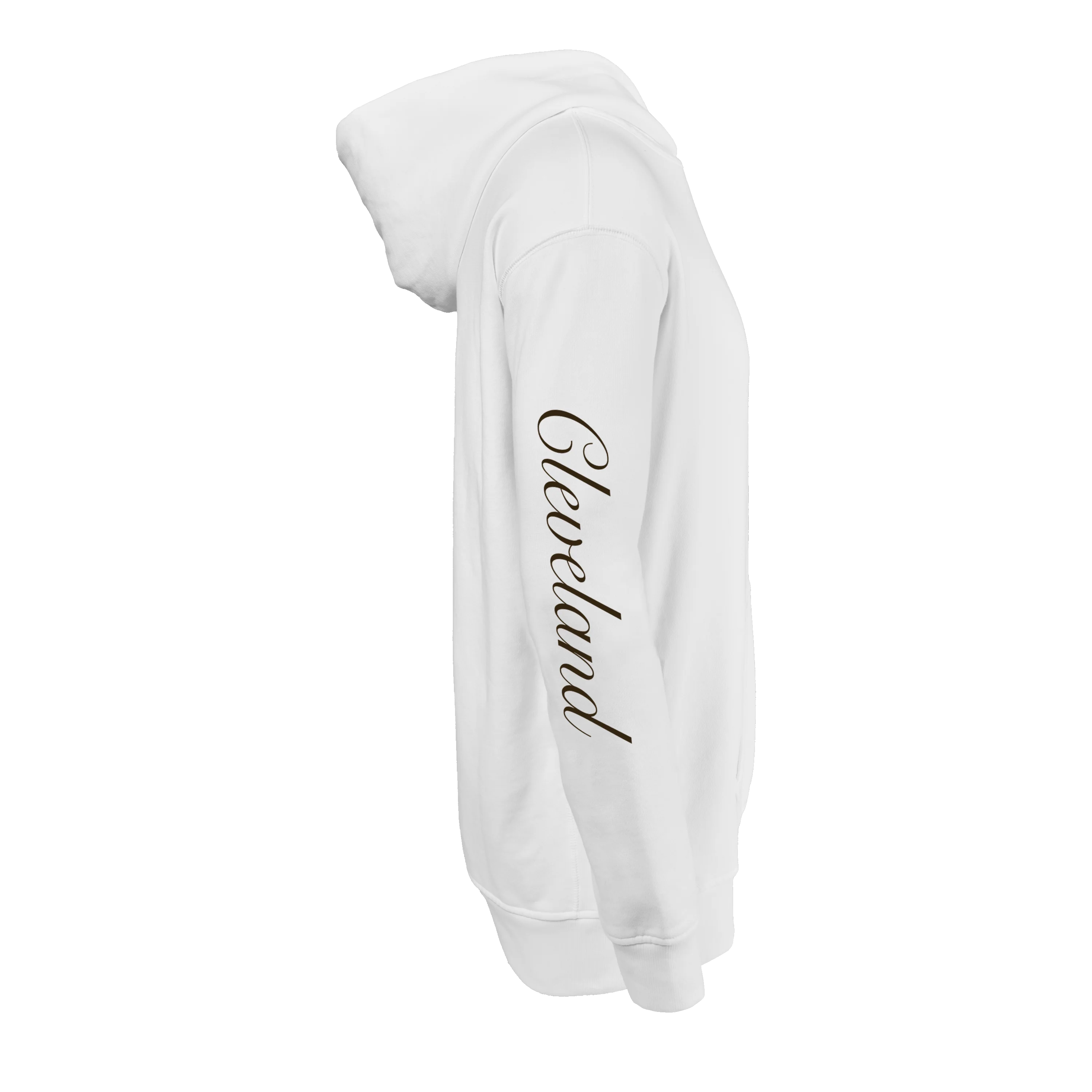 Cleveland Browns Aspen Hoodie - Image 15