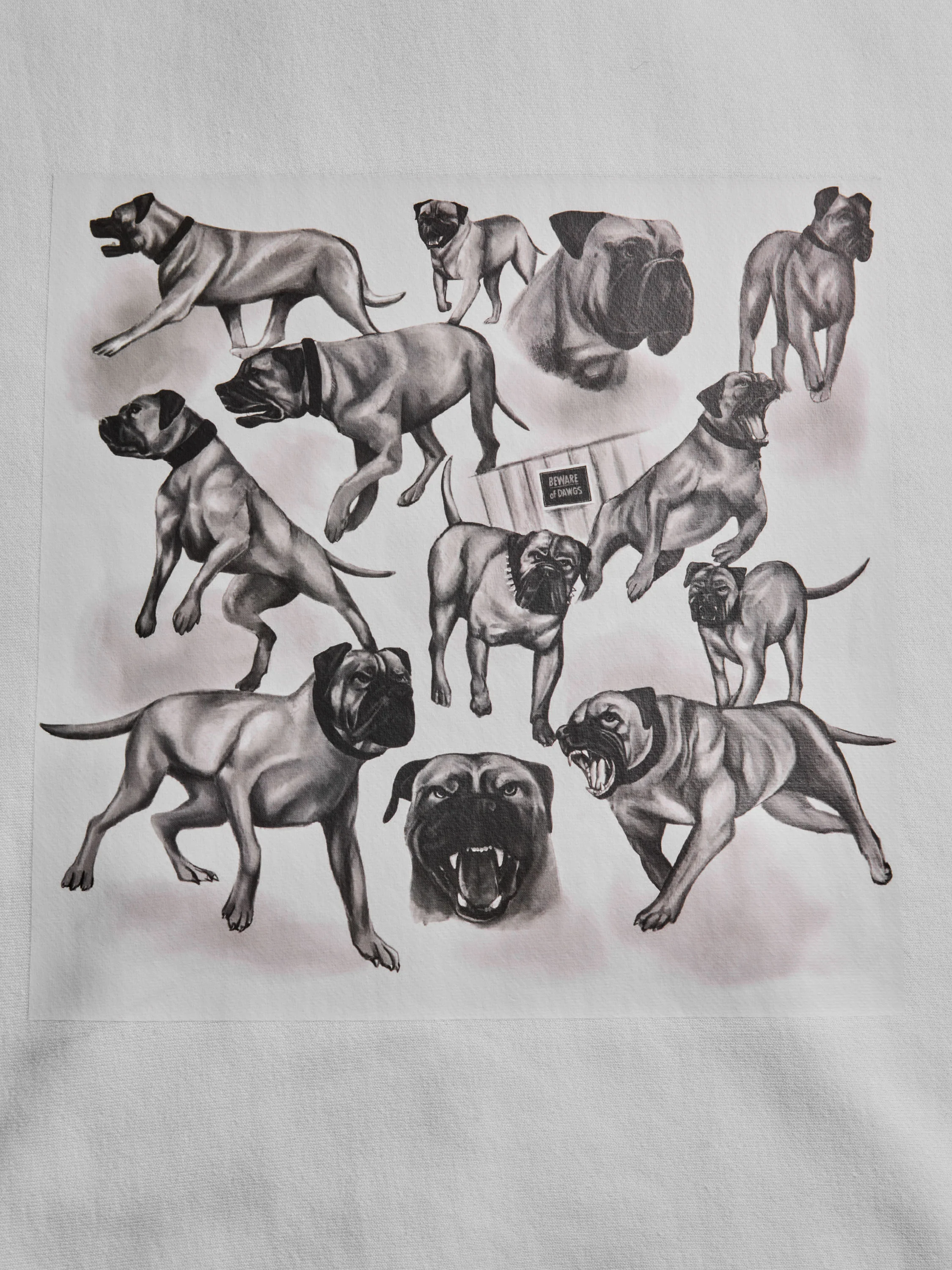 Cleveland Browns Dawg Pound Fireside Hoodie - Image 4