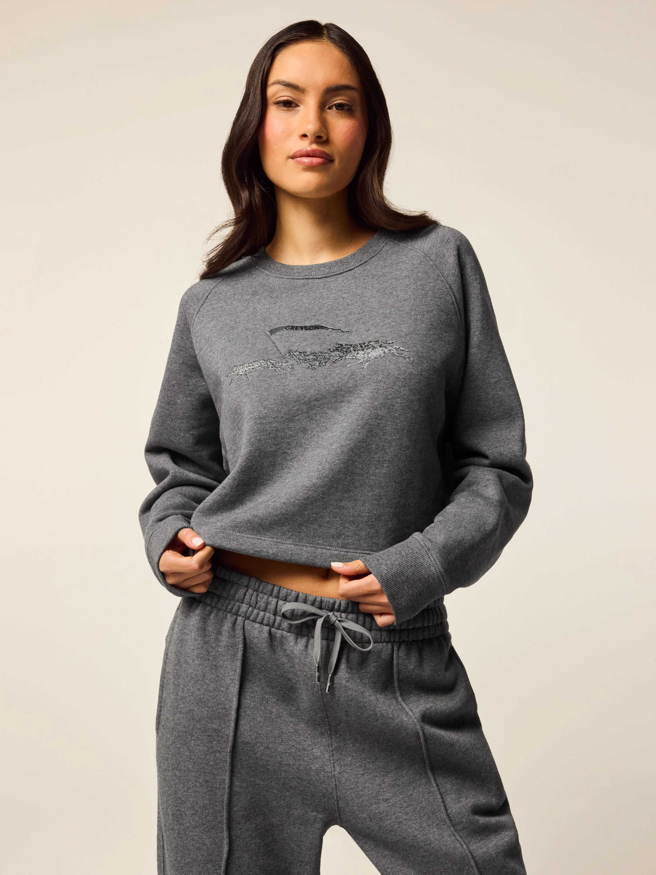 Aspen Cropped Crewneck