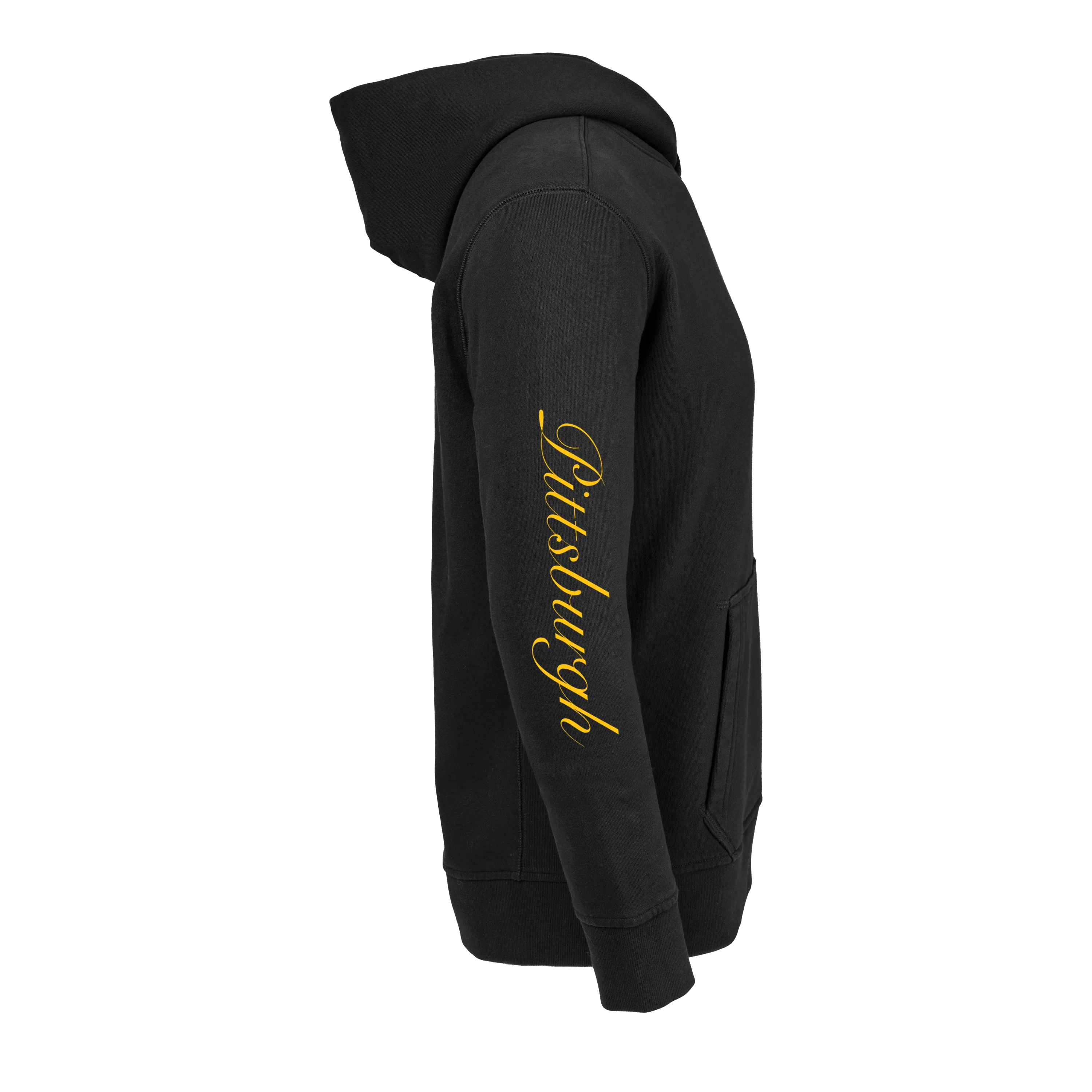 Pittsburgh Steelers Aspen Hoodie - Image 59