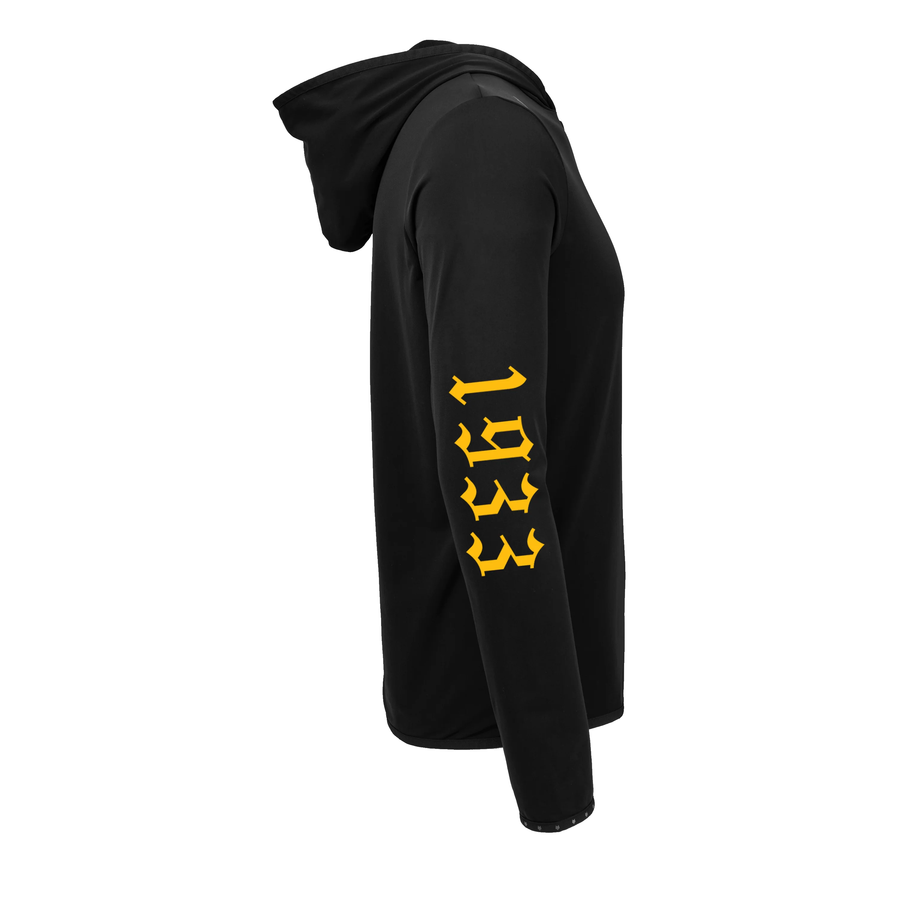 Pittsburgh Steelers Colorado Hoodie - Image 3