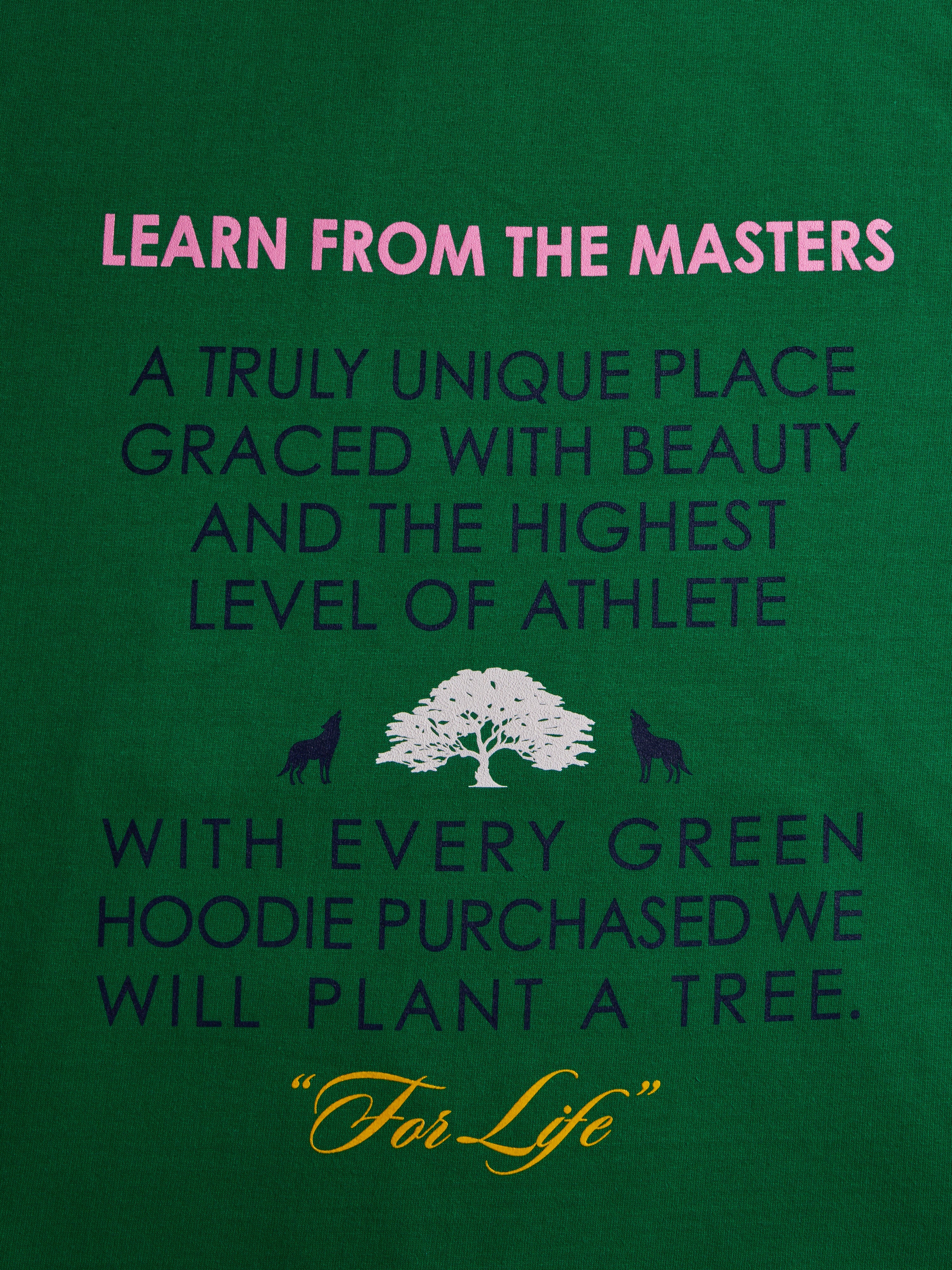 The Green Hoodie - Image 6