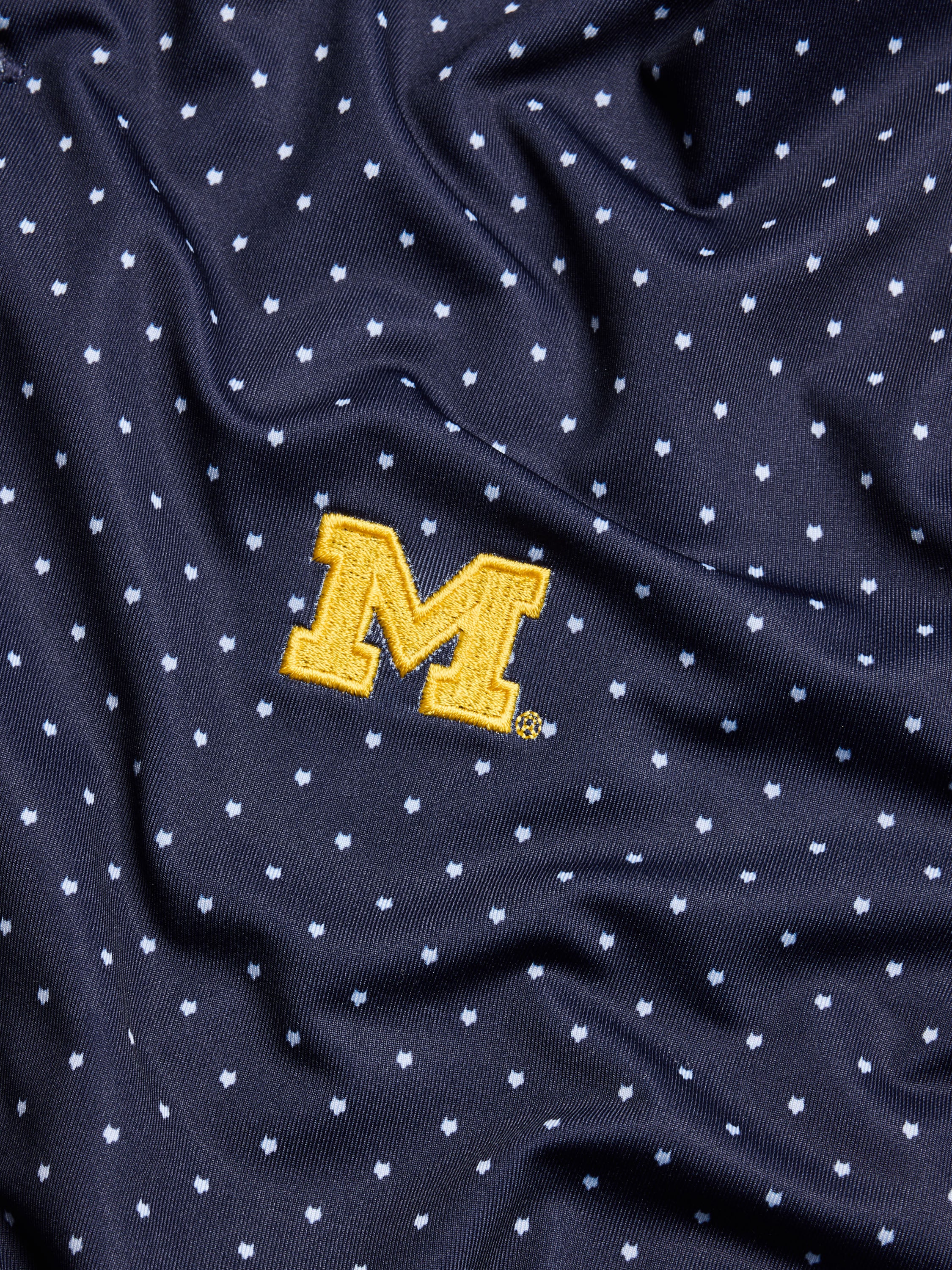 University of Michigan Icon Polo - Image 2